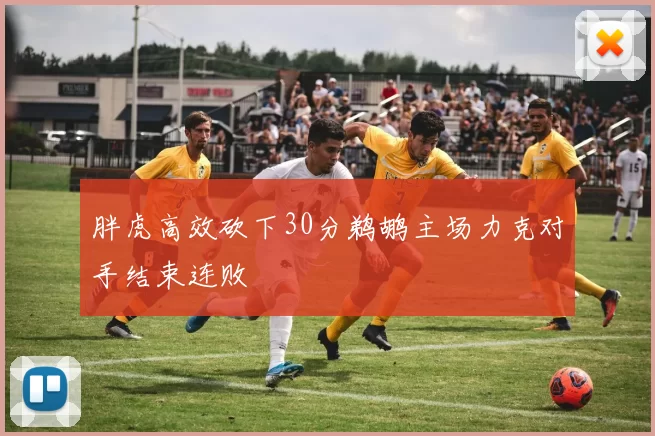 胖虎高效砍下30分鹈鹕主场力克对手结束连败