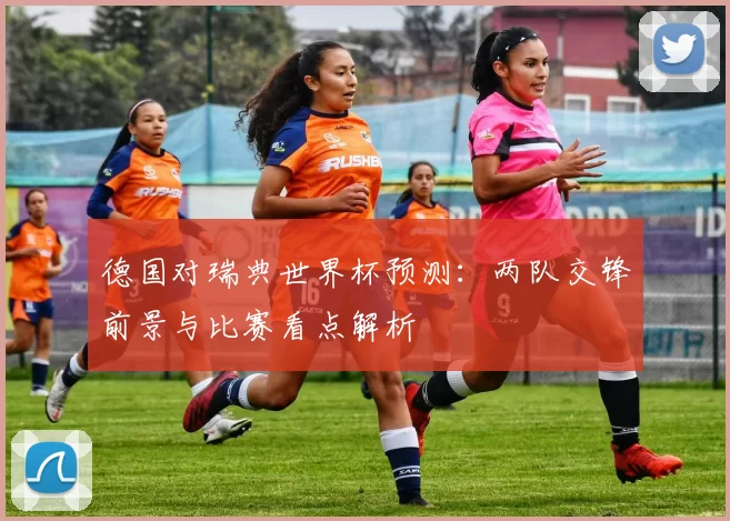 德国对瑞典世界杯预测:两队交锋前景与比赛看点解析
