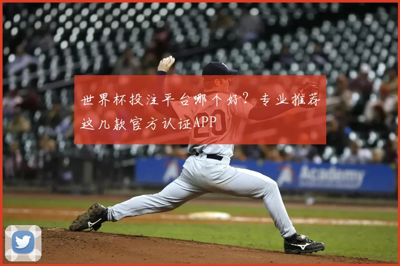 世界杯投注平台哪个好？专业推荐这几款官方认证APP