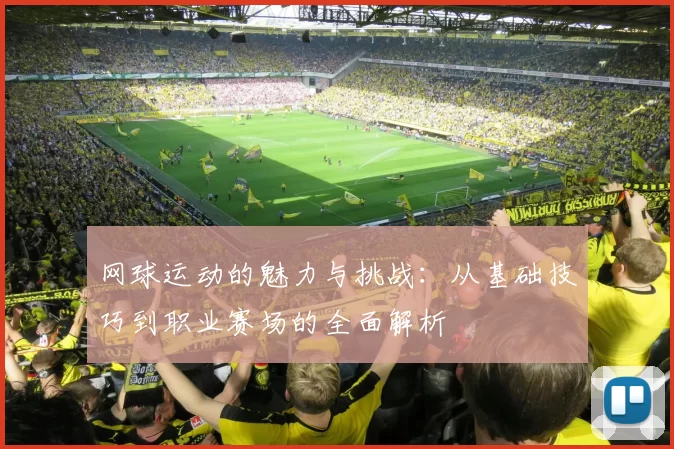 网球运动的魅力与挑战:从基础技巧到职业赛场的全面解析