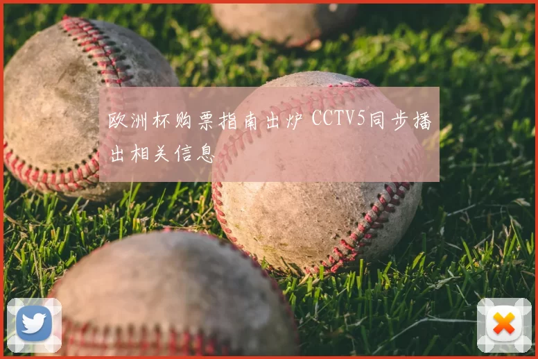 欧洲杯购票指南出炉 CCTV5同步播出相关信息