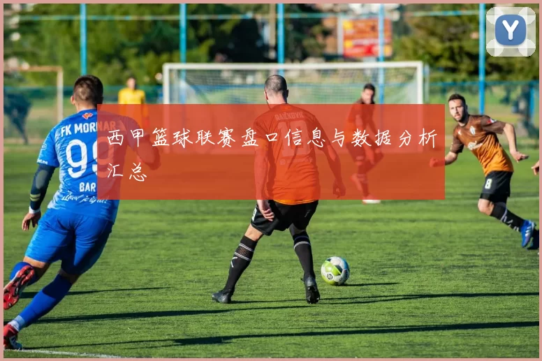 西甲篮球联赛盘口信息与数据分析汇总
