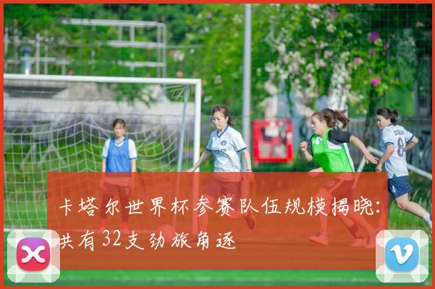 卡塔尔世界杯参赛队伍规模揭晓:共有32支劲旅角逐