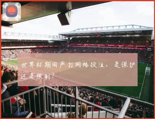 世界杯期间严打网络投注，是保护还是限制？