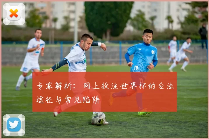 专家解析：网上投注世界杯的合法途径与常见陷阱