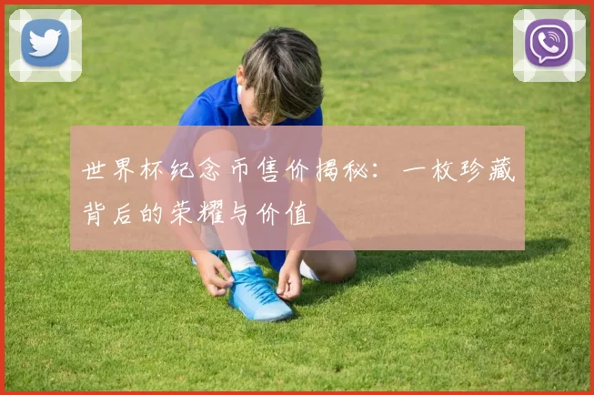 世界杯纪念币售价揭秘：一枚珍藏背后的荣耀与价值