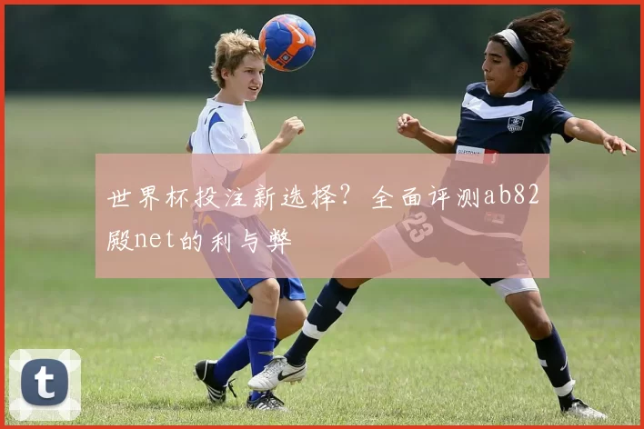 世界杯投注新选择？全面评测ab82殿net的利与弊