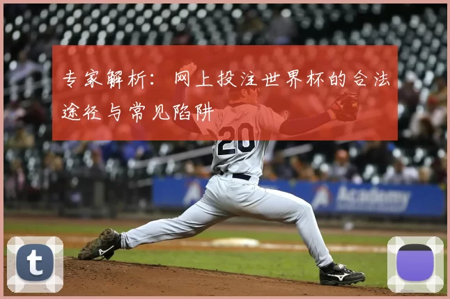 专家解析：网上投注世界杯的合法途径与常见陷阱