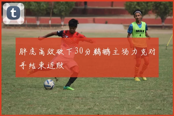 胖虎高效砍下30分鹈鹕主场力克对手结束连败