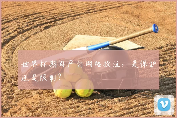 世界杯期间严打网络投注,是保护还是限制?