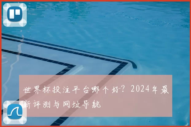 世界杯投注平台哪个好?2024年最新评测与网址导航
