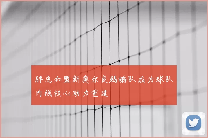 胖虎加盟新奥尔良鹈鹕队成为球队内线核心助力重建