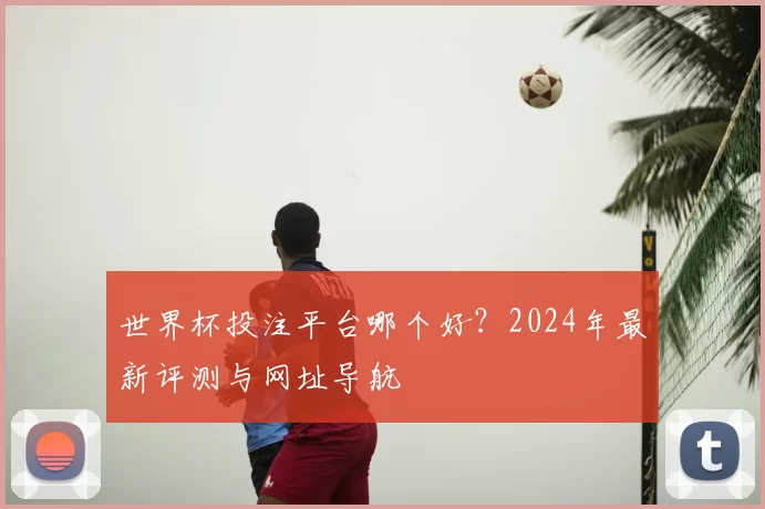 世界杯投注平台哪个好？2024年最新评测与网址导航