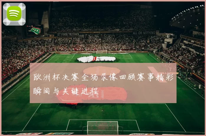 欧洲杯决赛全场录像回顾赛事精彩瞬间与关键进程