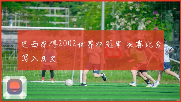 巴西夺得2002世界杯冠军 决赛比分写入历史